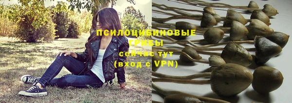 mdpv Осинники