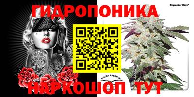МДПВ Кимры