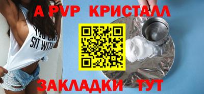 твердый Кингисепп