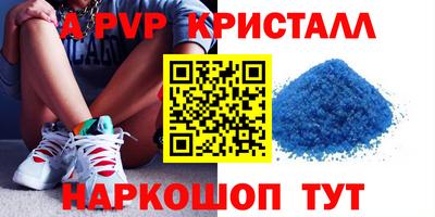 твердый Кингисепп