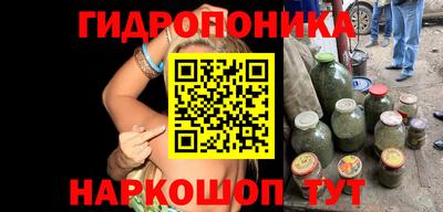 твердый Кингисепп